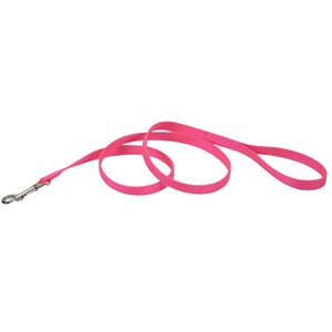 LAISSE NYLON 5 / 8" X 72" - ROSE