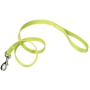 LAISSE NYLON 5 / 8" X 72" - LIME