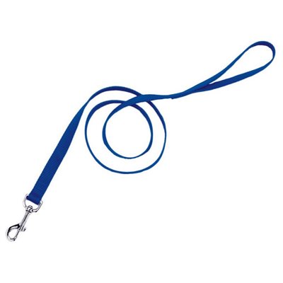 LAISSE DRESSAGE NYLON 1" X 72" - BLEU